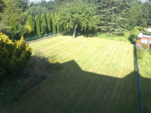 rasen mähen Kiel Grünes, gemähtes Feld mit Schattenwurf und Bäumen im Hintergrund.